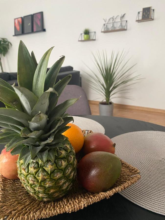 Penthouse West S Apartman Varasd Kültér fotó