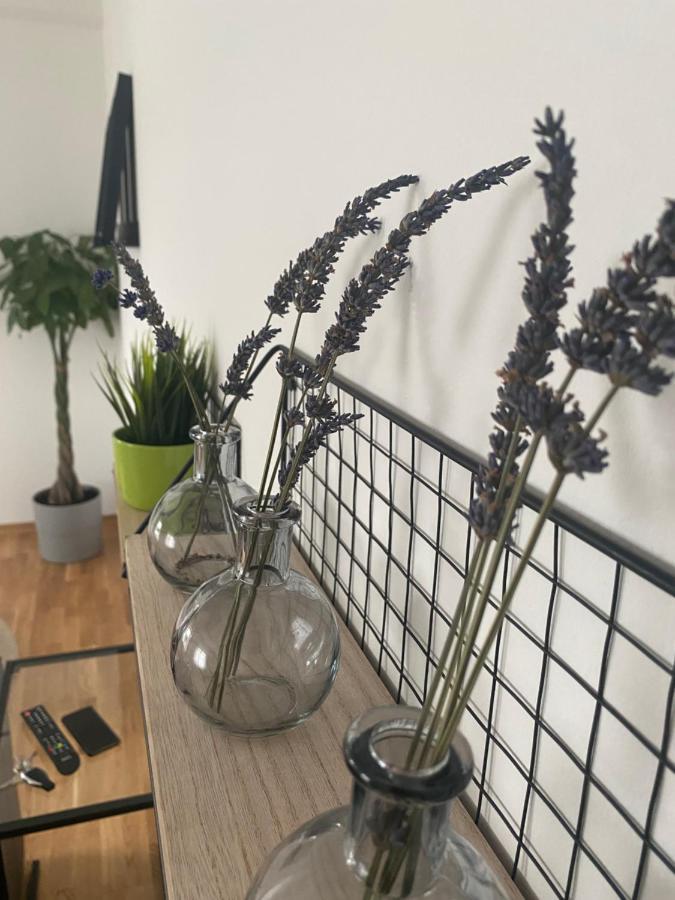 Penthouse West S Apartman Varasd Kültér fotó